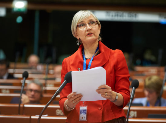 Euroopa Nõukogu Parlamentaarse Assamblee (ENPA) istung Strasbourgis demokraatlike institutsioonide toimise teemal Türgis